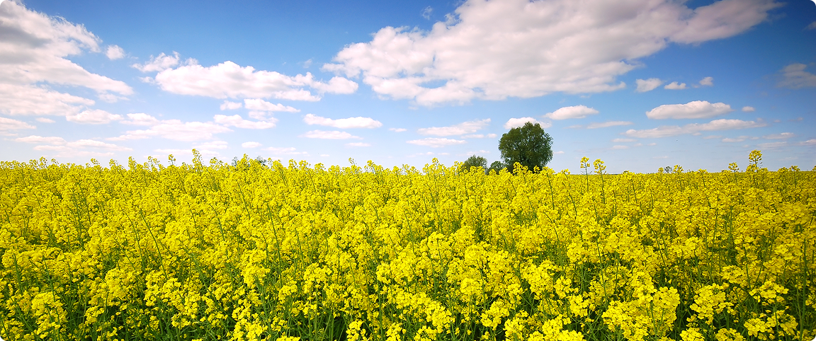 Від кризи до нових можливостей: історія успіху фермера з Львівщини