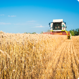 Відео: Аграрні розписки стали фінансовою опорою для агробізнесу в прифронтових регіонах